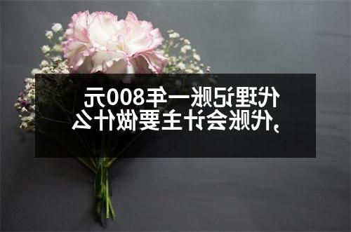 代理记账一年800元,代账会计主要做什么