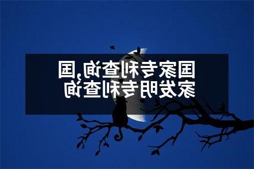 国家专利查询,国家发明专利查询