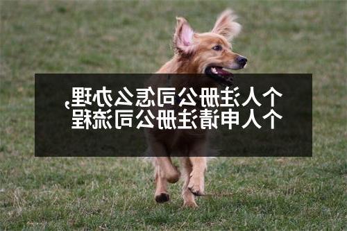 个人威尼斯人直营怎么办理,个人申请威尼斯人直营流程